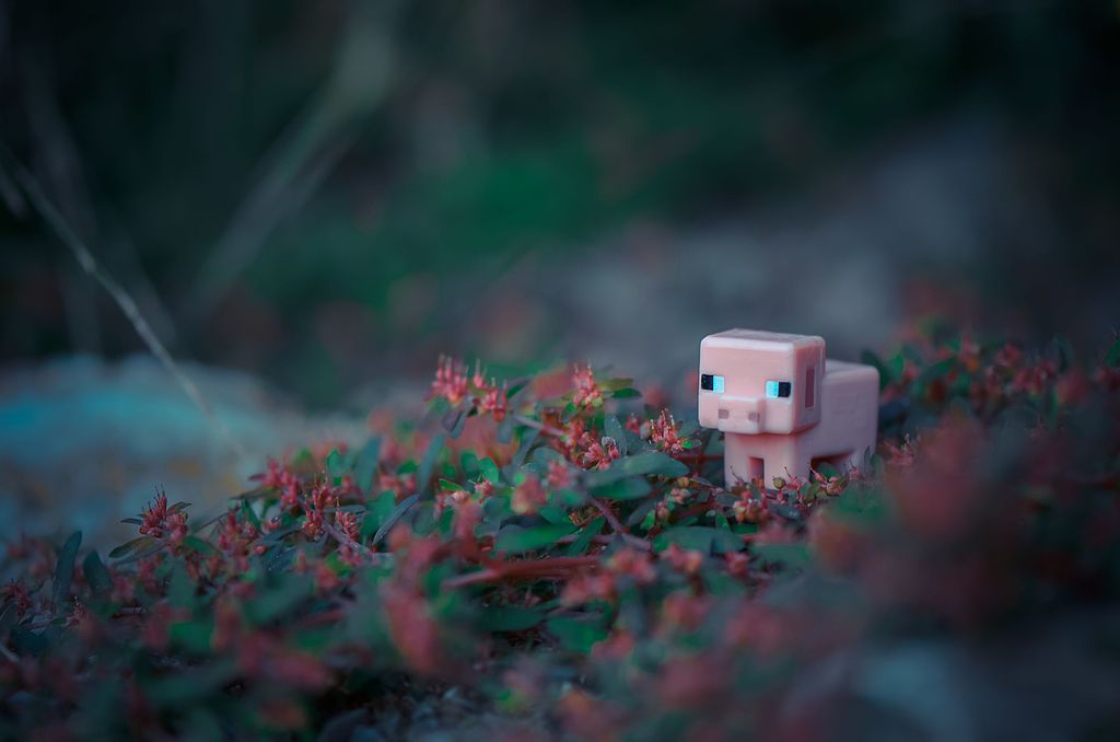 Featured image for 尝试了一下今年的Minecraft译名考试